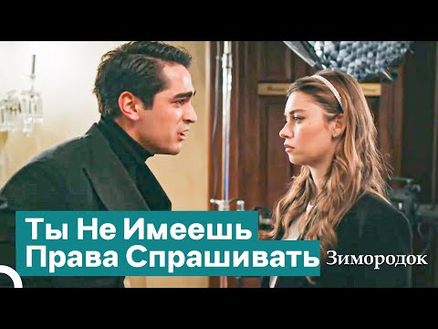 Видео: Правда Оказалась Слишком Тяжелой Для Тебя? | Зимородок