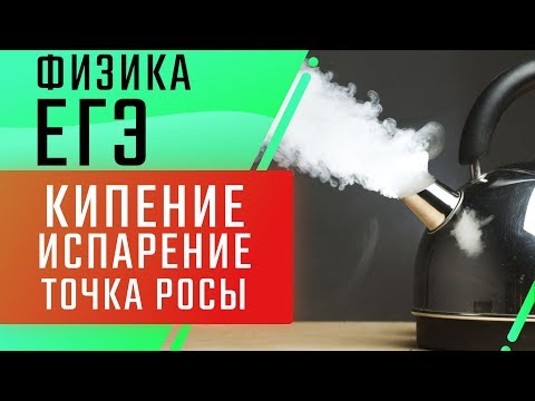 Видео: Кипение, испарение, точка росы| ЕГЭ Физика | Николай Ньютон | ТЕХНОСКУЛ