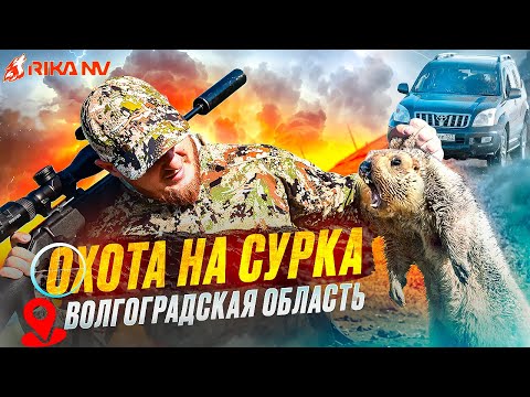 Видео: Охота на сурка в Волгоградской области! Высокоточная стрельба от Максима Гончарова!