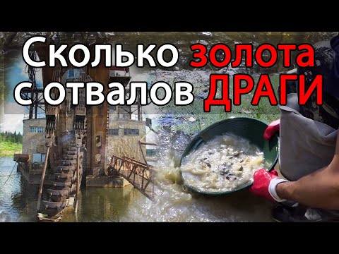 Видео: Сколько золота с отвалов драги.