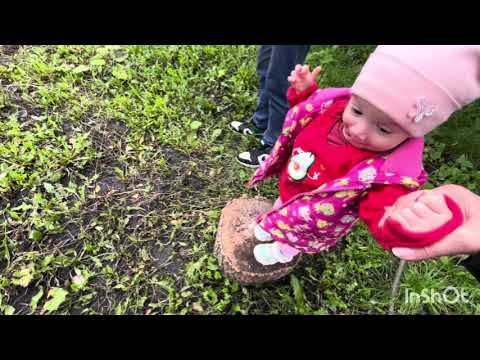 Видео: Саранск. Едем в деревню. Что посадили и что еще хотят сделать.9.09.25г.