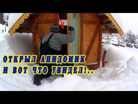 Видео: КОГДА ОТКРЫЛ ДВЕРЬ В АПИДОМИК, ТО УВИДЕЛ ТАМ ВОТ ЧТО!..