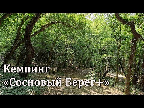 Видео: ЕДЕМ НА МОРЕ Кемпинг "Сосновый Берег +" | Архипо-Осиповка | Июнь 2024 | Сезон открыт