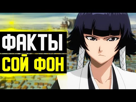Видео: СОЙ ФОН ФАКТЫ | СОЙ ФОН И ОДЕРЖИМОСТЬ ЙОРУИЧИ | БРАТЬЯ В ТСУНАЯШИРО? | БЛИЧ 2023