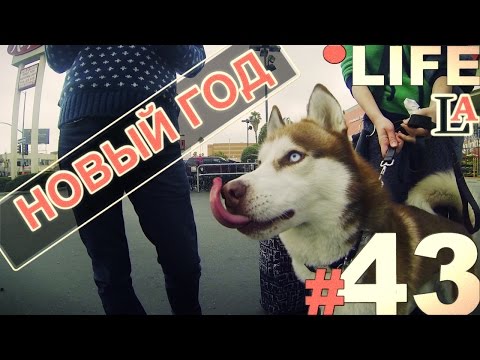 Видео: Простая Америка LIFE #43 Новый Год