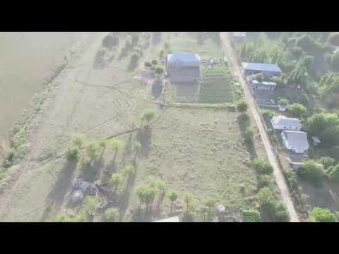 Видео: ЮКО. Тулькубасс. Кожамберды