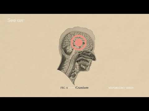 Видео: Сверхчувствительность