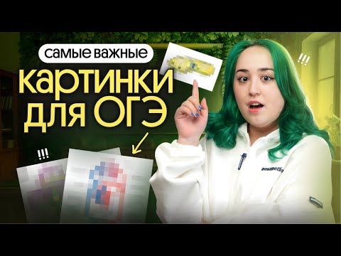 Видео: ✅ САМЫЕ ВАЖНЫЕ картинки для ОГЭ по биологии 2025