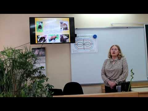 Видео: 8 класс. Биология. Хищные млекопитающие