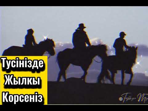 Видео: Тусiнiзде жылкы корсенiз калай жоруга болады #тус #жылкы #жылкылар