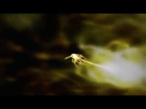 Видео: Советское радио СССР запись эфира