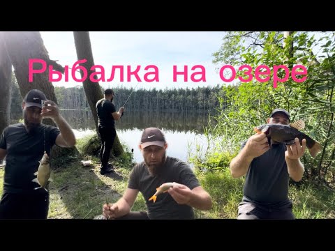 Видео: Рыбалка на озере на поплавок