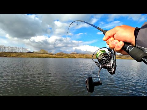 Видео: ДА СКОЛЬКО ЖЕ ТУТ РЫБЫ? ПОЛНЫЙ КУКАН КРУПНЫХ ОКУНЕЙ И ЩУК. Рыбалка на спиннинг осенью