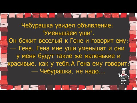 Видео: КАК ЧЕБУРАШКА САНТЕХНИКА ВЫЗЫВАЛ...СМЕШНЫЕ АНЕКДОТЫ, ДЛЯ ВАШЕГО ХОРОШЕГО НАСТРОЕНИЯ!
