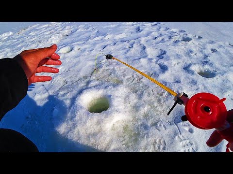 Видео: ОНИ ГНУТ КРЮЧКИ И СТРАВЛИВАЮТ ЛЕСКУ! ЭТИ РЫБИНЫ АТАКУЮТ МОРМЫШКУ! Последний лед 2024.