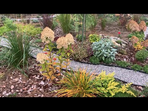 Видео: Важен ли размер посадочного материала???