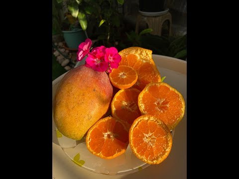 Видео: Вкусные мандарины разных сортов
