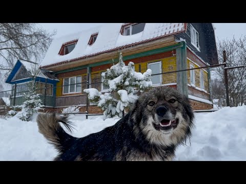 Видео: ХУТОР В БЕЛОМ ПЛЕНУ! СНЕЖНЫЙ КОЛЛАПС В АПРЕЛЕ.