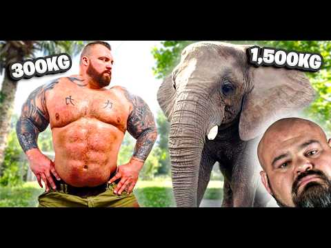 Видео: СТРОНГМЕН плавает со СЛОНАМИ и ШИМПАНЗУНАМИ! | при участии Брайана Шоу