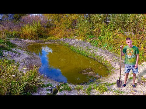 Видео: Копаю пруд лопатой! Сделал канавку и спилил иву возле пруда!
