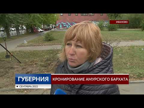 Видео: Кронирование амурского бархата