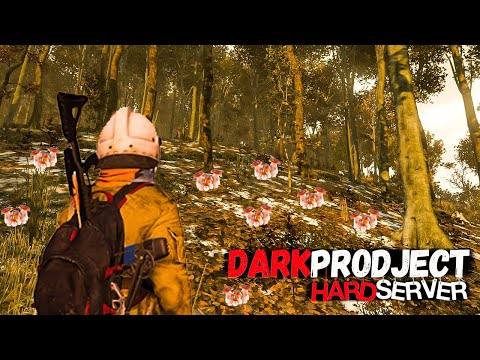Видео: DARK PRODJECT ❗ ЗДЕСЬ ВАМ НЕ ТАМ, ЗДЕСЬ ЭКПЕРТЫ ПО ГРИБАМ #dayz