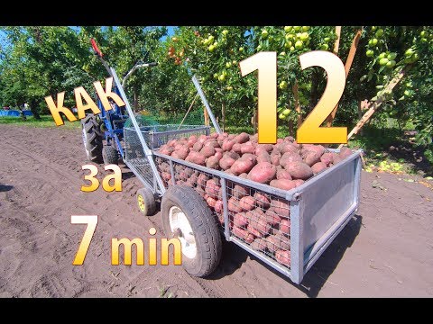 Видео: Картофелекомбайн к мотоблоку. Уборка картофеля 12 ведер за 7 минут. Мотоблок копает, собирает, везет