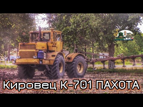 Видео: Кировец К-701 с плугом ПЛН 8-35!Скоростная неглубокая вспашка!