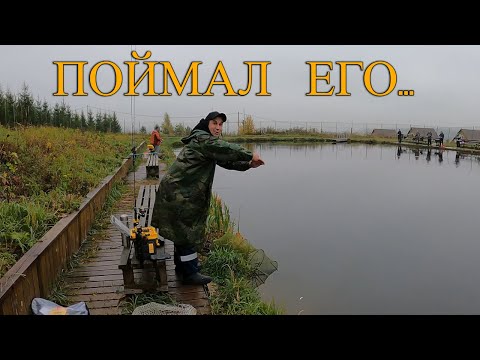 Видео: Калужская форель. Поклёвка на несколько тысяч рублей!