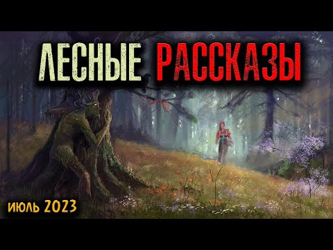 Видео: ЛЕСНЫЕ РАССКАЗЫ | Страшные истории