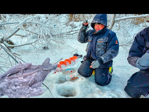 Видео: ЭКСТРЕМАЛЬНАЯ РЫБАЛКА! НАШЛИ СУДАКА И ЩУКУ в корягах. КОМБАЙНЫ гнут лещи и язи!