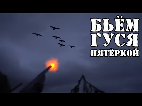 Видео: Охота на гуся, делимся опытом за 10 лет