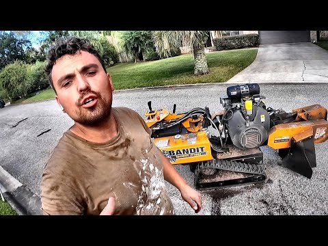 Видео: Я потом ЗАПЛАЧУ…. Итальянцы в США