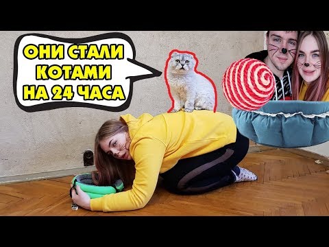 Видео: ПОВТОРЯЕМ ЗА КОТАМИ 24 ЧАСА! КЕВИН И СЛАДУН В ШОКЕ!