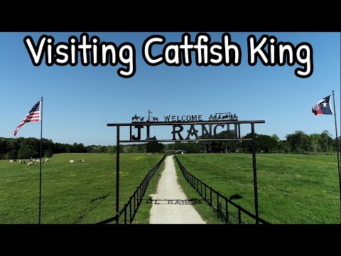 Видео: В гостях у короля сомов!