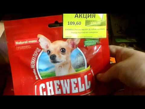 Видео: Хранение вещей моей собаки