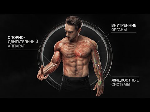 Видео: САМАЯ НЕДООЦЕНЕННАЯ ПРИВЫЧКА XXI ВЕКА | Фильм Biomachine