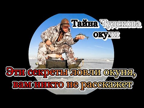 Видео: Раскрываю секреты ловли окуня на Чудском озере. Как правильно сделать удочку.