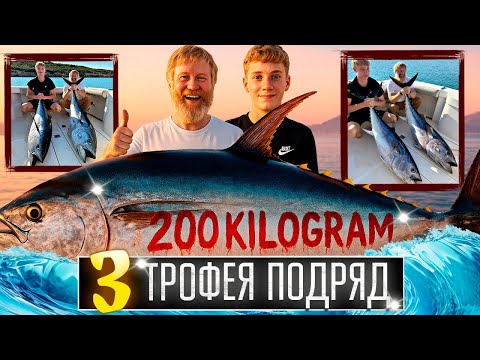Видео: 200 кг Голубого тунца за 1 ЧАС? ► Поймал монстра и приготовил его! ► Морская рыбалка в Турции 2025