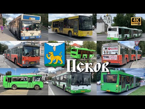 Видео: Автобусы Пскова - 2024! MAN, Volvo, ЛиАЗ, МАЗ, ПАЗ. Новые и бывалые! 4k