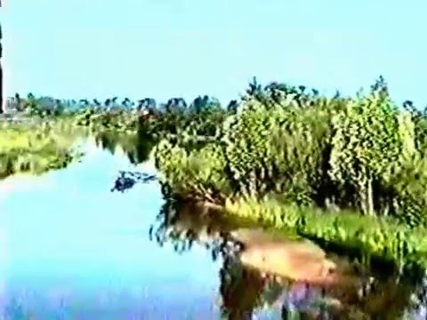 Видео: Добруш