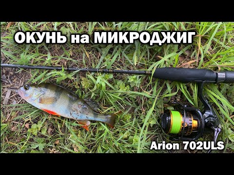 Видео: ОКУНЬ НА КАЖДОМ ЗАБРОСЕ - МИКРОДЖИГ с ARION 702 ULS Рыбалка на спиннинг