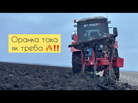 Видео: Нарешті відпустило землю‼️👍 Оранка МТЗ з облротним плугом Полігон💪😎