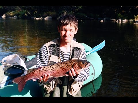 Видео: Каменное царство Зевы