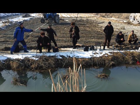 Видео: Узингиз бахо беринг 👍босиб куйинг Акрамжон кули