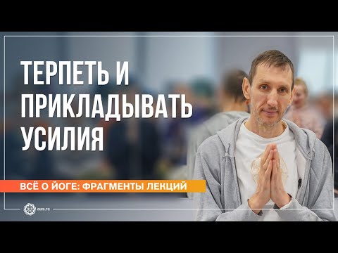 Видео: Терпеть и прикладывать усилия. Андрей Верба (фрагмент лекции)