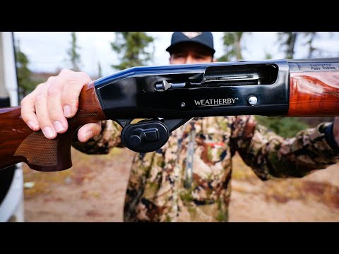 Видео: Охота на рябчиков с моим новым 12GA (поймал и приготовил)