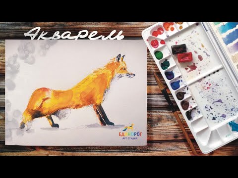 Видео: Как рисовать акварелью. Как нарисовать лису.  Просто рисуем. Акварель для начинающих.