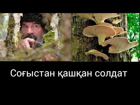 Видео: Соғыстан қашқан солдат