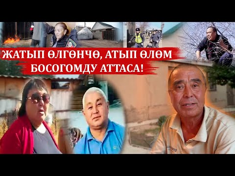 Видео: ЖАТЫП ӨЛГӨНЧӨ, АТЫП ӨЛӨМ БОСОГОМДУ АТТАСА!